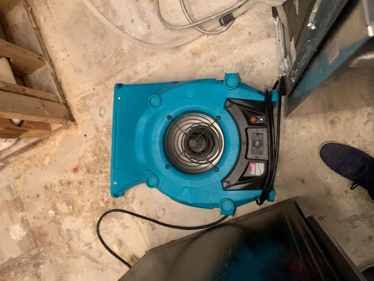 Air mover drying equipment for Mold Remediation & Removal in Parkwood